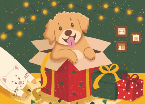 Štěňátko v dárku